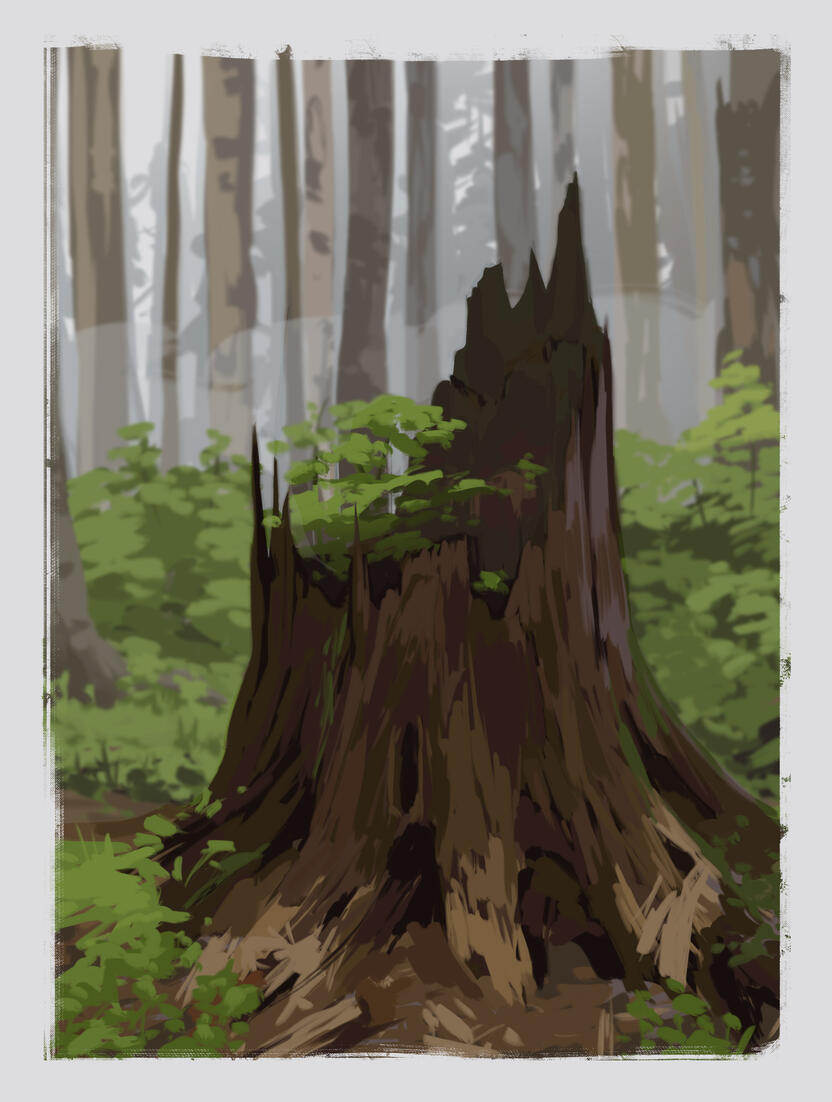 Environment study, 30 min